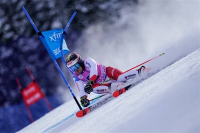 Loic Meillard Poster 3650200