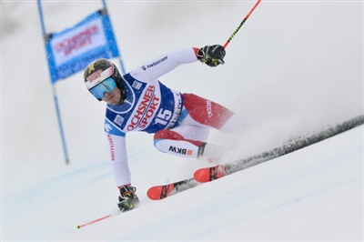 Loic Meillard Poster 3650202