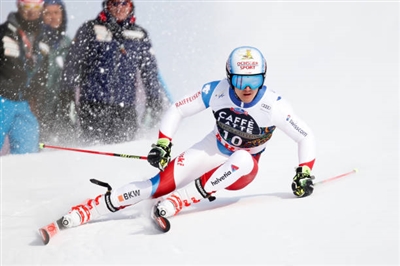 Loic Meillard Poster 3650207