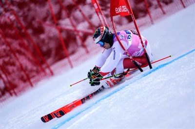 Loic Meillard Poster 3650208