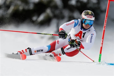 Loic Meillard Poster 3650210