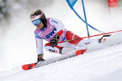 Loic Meillard Poster 3650214