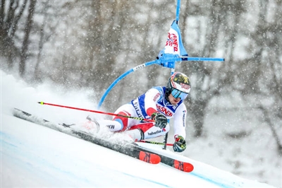 Loic Meillard Poster 3650221