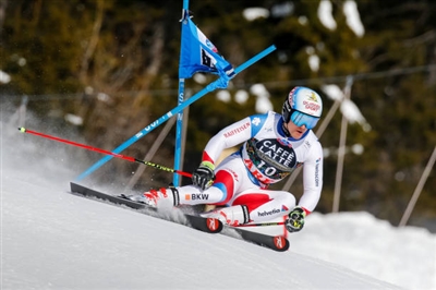 Loic Meillard Poster 3650225