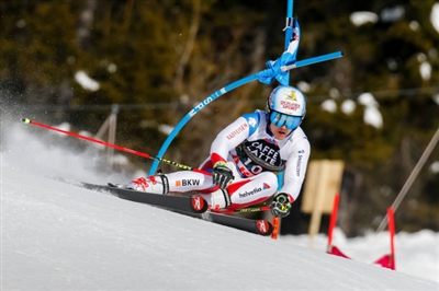 Loic Meillard Poster 3650226