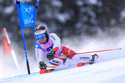 Loic Meillard Poster 3650229