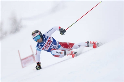 Loic Meillard Poster 3650231
