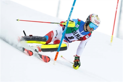 Loic Meillard Poster 3650232