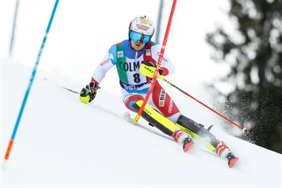 Loic Meillard Poster 3650234