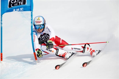 Loic Meillard Poster 3650235