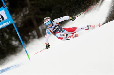 Loic Meillard Poster 3650238