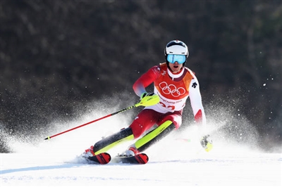 Loic Meillard Poster 3650239