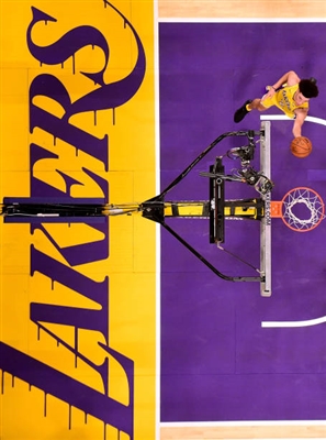 Lonzo Ball Poster 3371967
