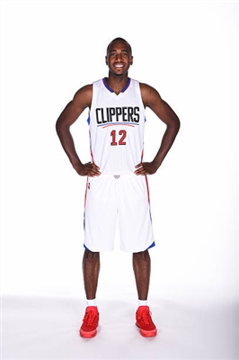 Luc Mbah a Moute Poster 3423939