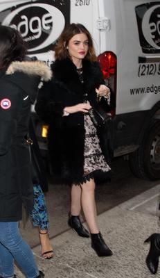 Lucy Hale Poster 3073621