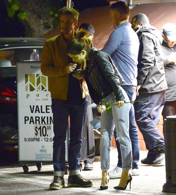 Lucy Hale Poster 3101321