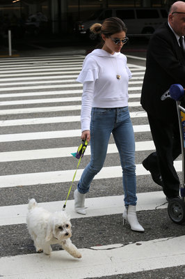 Lucy Hale Poster 3240301