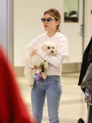 Lucy Hale Poster 3240306