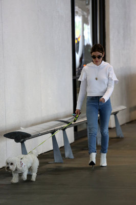 Lucy Hale Poster 3240337