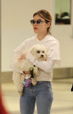 Lucy Hale Poster 3240350