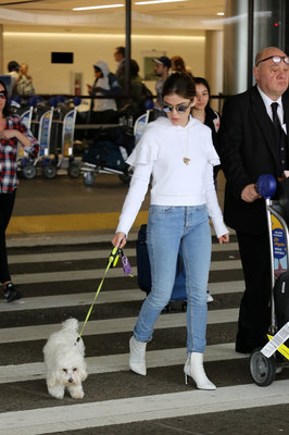 Lucy Hale Poster 3240382