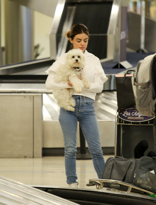 Lucy Hale Poster 3240403