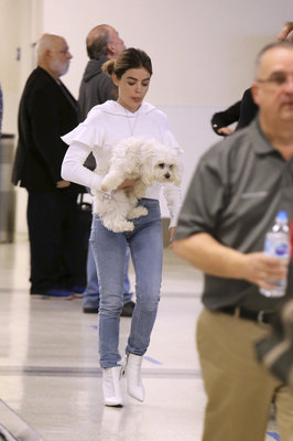 Lucy Hale Poster 3240446