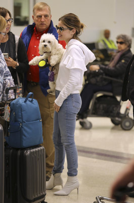 Lucy Hale Poster 3240494