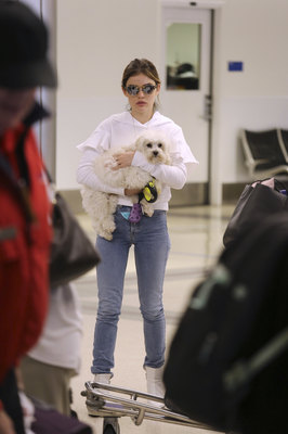 Lucy Hale Poster 3240542