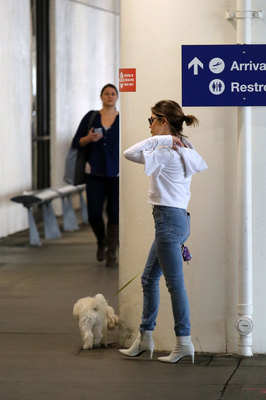 Lucy Hale Poster 3240548