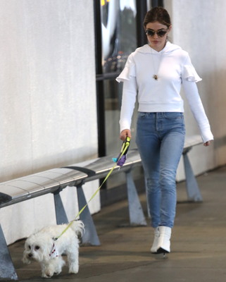 Lucy Hale Poster 3240556