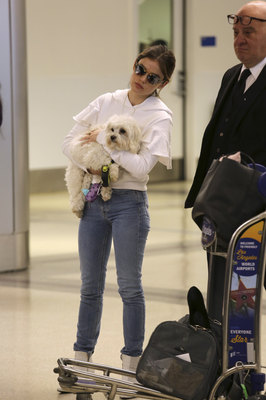 Lucy Hale Poster 3240578