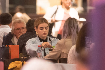 Lucy Hale Poster 3311478