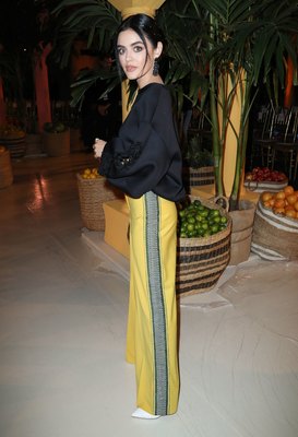 Lucy Hale Poster 3867092