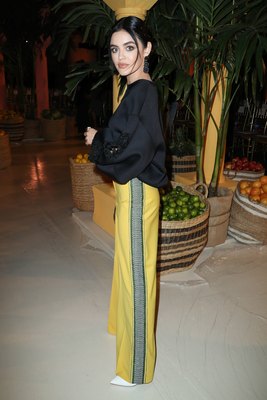 Lucy Hale Poster 3867142