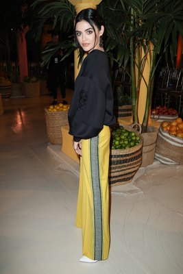 Lucy Hale Poster 3867305