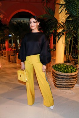 Lucy Hale Poster 3867393