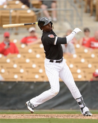 Luis Robert Poster 3481264