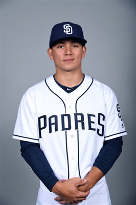 Luis Robert Poster 3481273