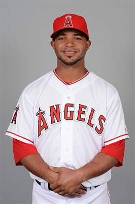 Luis Robert Poster 3481284