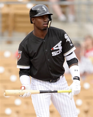 Luis Robert Poster 3481285