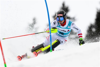 Manuel Feller Poster 3649927