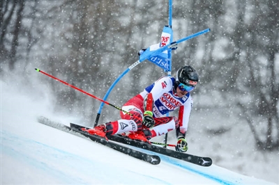 Manuel Feller Poster 3649941