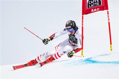 Manuel Feller Poster 3649948