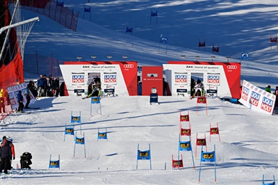 Manuel Feller Poster 3649975