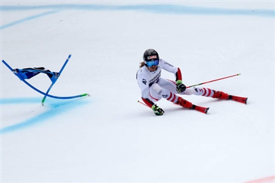 Manuel Feller Poster 3649988