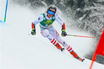 Manuel Feller Poster 3649996