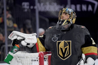 Marc-Andre Fleury Poster 3538604