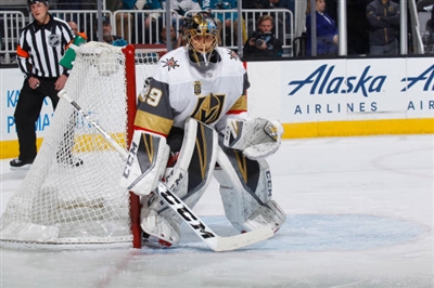 Marc-Andre Fleury Poster 3538606