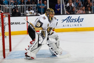Marc-Andre Fleury Poster 3538610